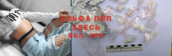 соль ск Волосово
