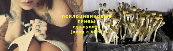 соль ск Волосово