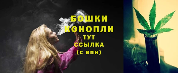 соль ск Волосово