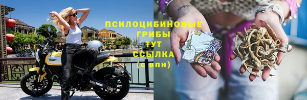 кокс Дмитриев